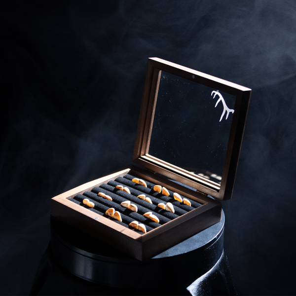 Wapiti Box | Premium Elk Ivory Display Case | Handcrafted in the USA